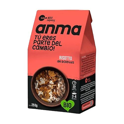 Risotto Eco boletus 250 g