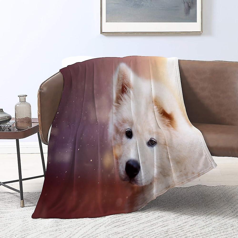 Flanellfiltar, samojed vit drömmande söt hund, kastar för soffa fluffig filt säng kasta F Sovrum, soffa, sovrum Tillbehör 51x59 i
