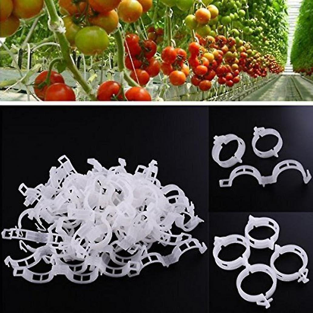 100 Pack Plant Support Clips for Vegetables, 0.9*2.5(Diameter)*7.5cm,Tomatoes, and Vine Plants - For