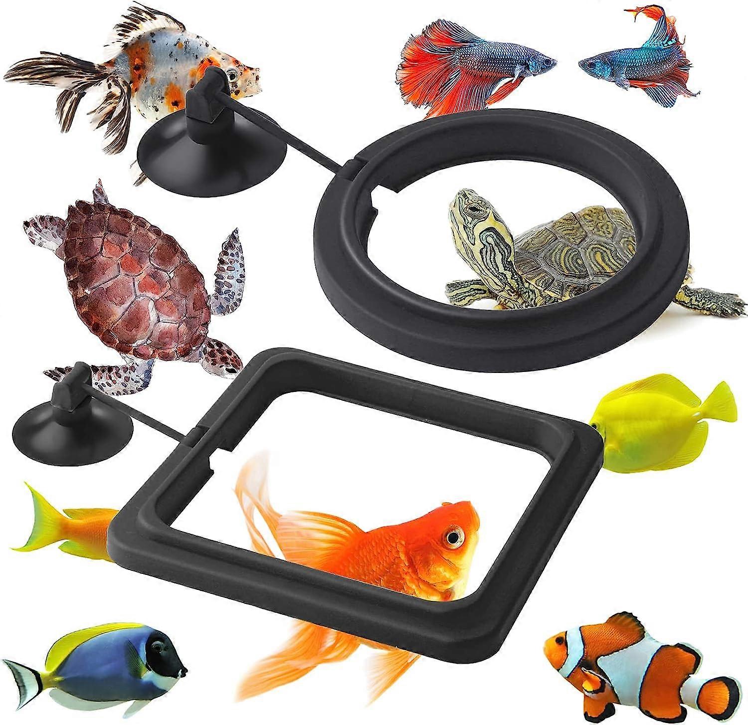 fish tank accessories all animal food AWXZOM Decorations (fish tank not included), aquarium coral decorations and Aquarium Artificial Plastic Plants Set, betta fish tank coral ornaments aquarium coral Aquarium Dcor : Pet Supplies Slowly releases live blackworms 1Pcs Acrylic Aquarium Feeder Ring