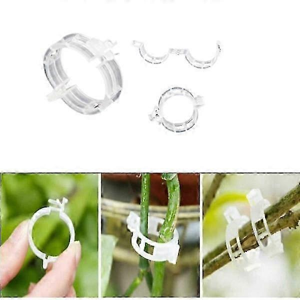 Cleme pentru susținerea plantelor/grătare 100 gr