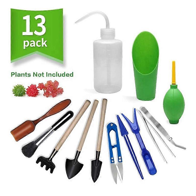 13pcs Mini Garden Tools Set - For Transplanting Succulent Plants