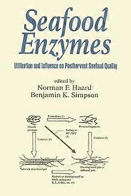 Seafood Enzymes