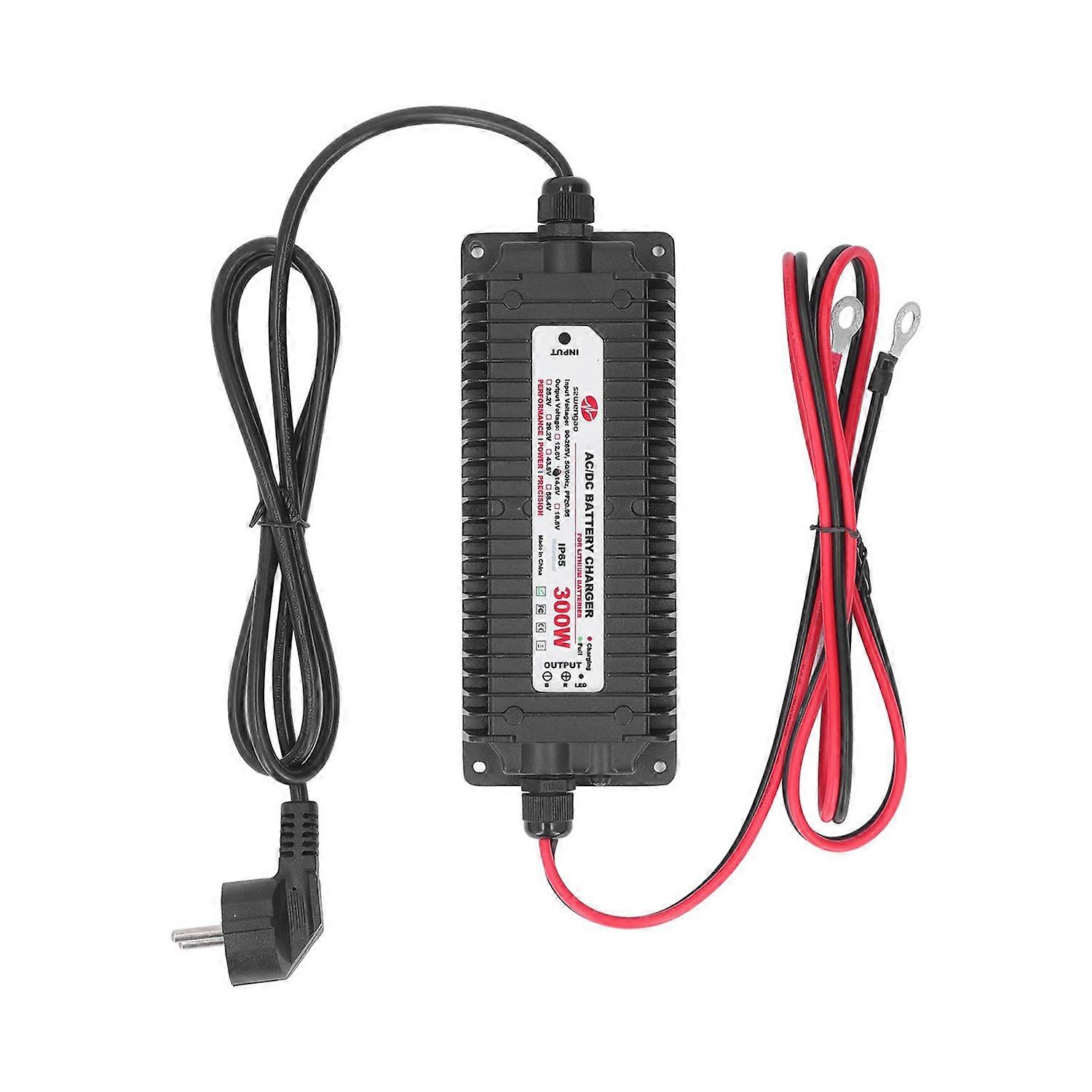 Lithium Battery Charger Smart for Lifepo4 Lithium Iron Phosphate Batteries 24V(29.2V) 10A AC to DC W