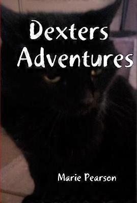 Dexters Adventures