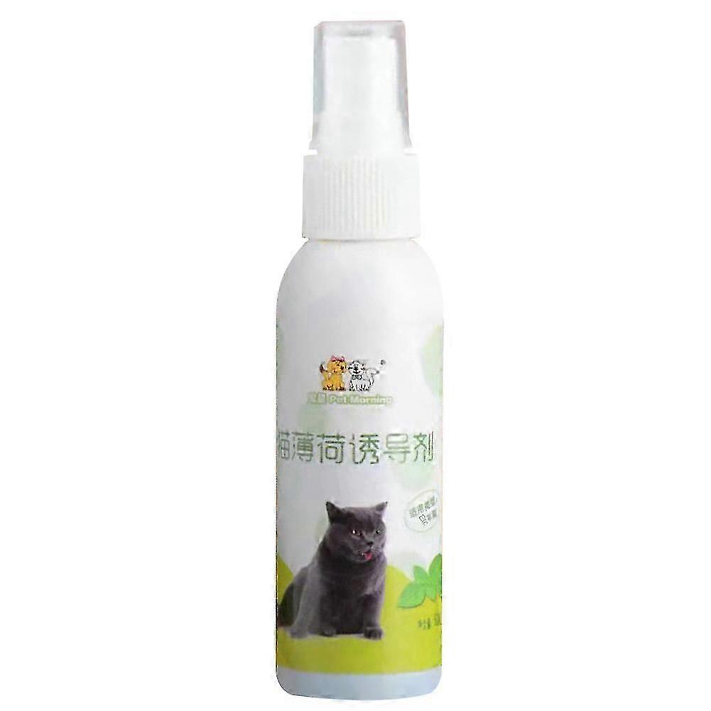 Kat Catnip Pet Training Toy Naturlig Sund Cat Mint Funny Scratch Toy Spray