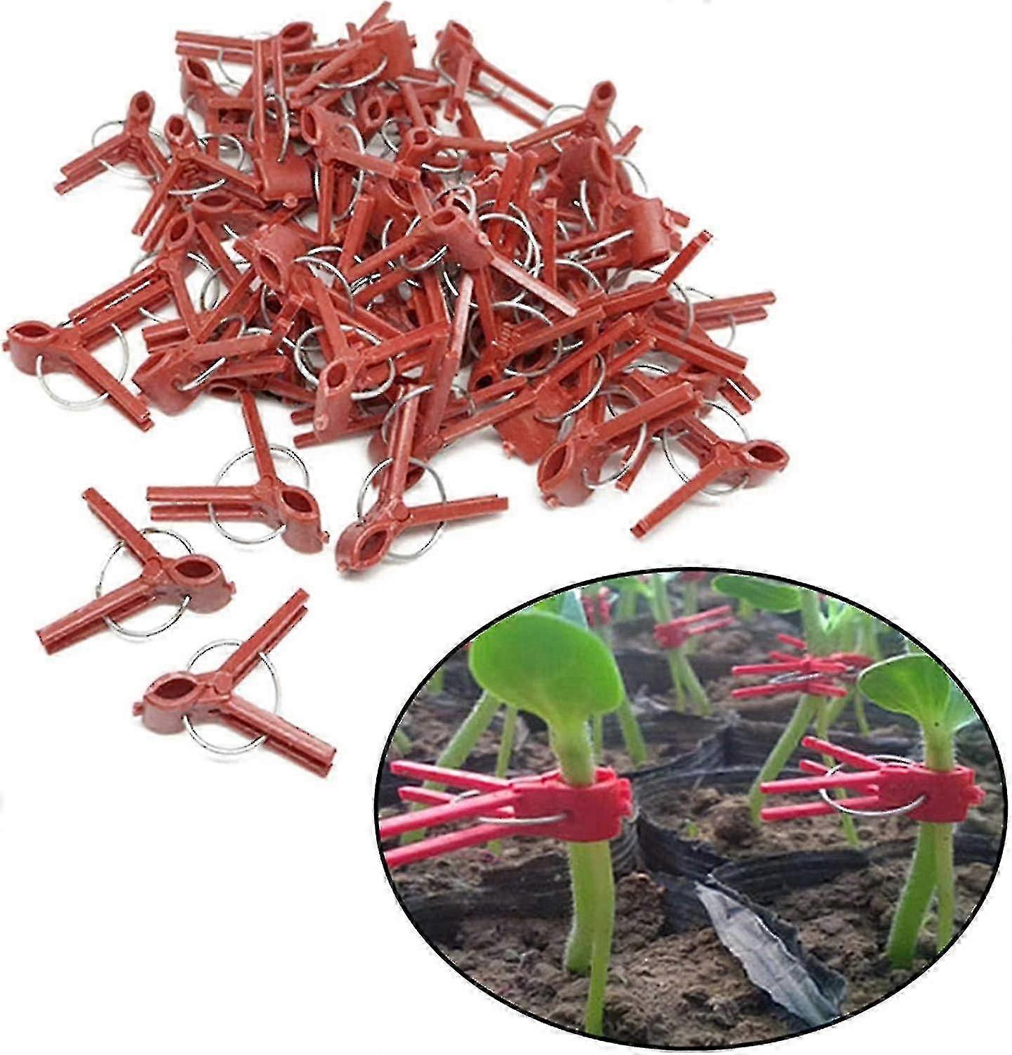 Tomat Poding Clip Seedling Poding Clip Aubergine Poding Clip 100 stk Round Mouth Poding Clip