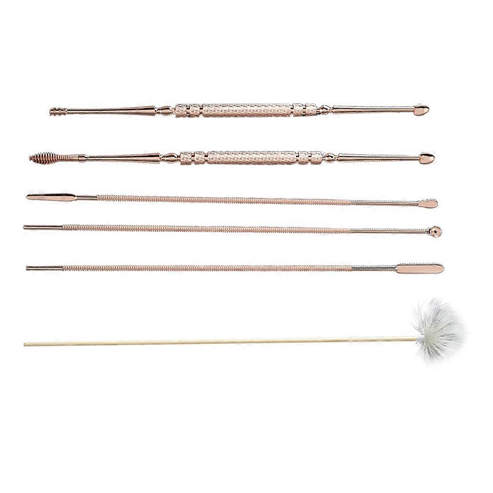 6 Pcs 1 Set Rustproof Ear Picks Stainless Steel Ear Wax Pickers (Rose Gold)