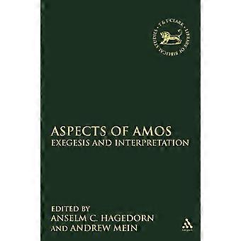 Aspects Of Amos Exegesis And Interpretation - Bloomsbury Publishing PLC - Paperback - en Book