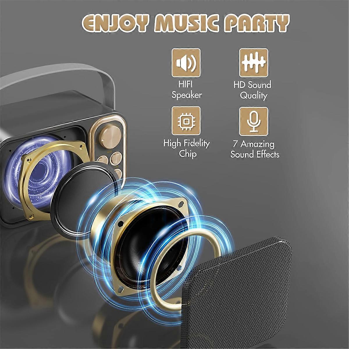 Portable Karaoke Machine with RGB LED Lights Wireless Microphones