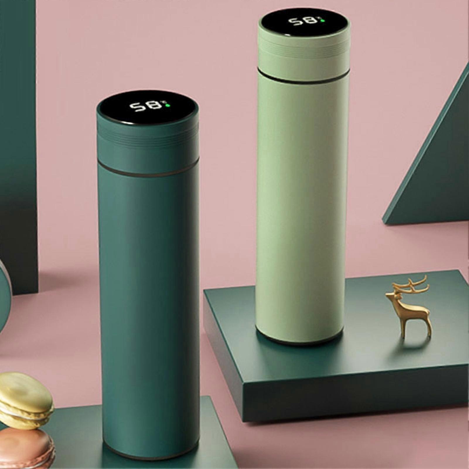 Hesroicy 480ml Insulated Bottle, Leak-proof, LED Temp Display, Tea/Water Separation, Smart Thermal Cup – compatible with home use