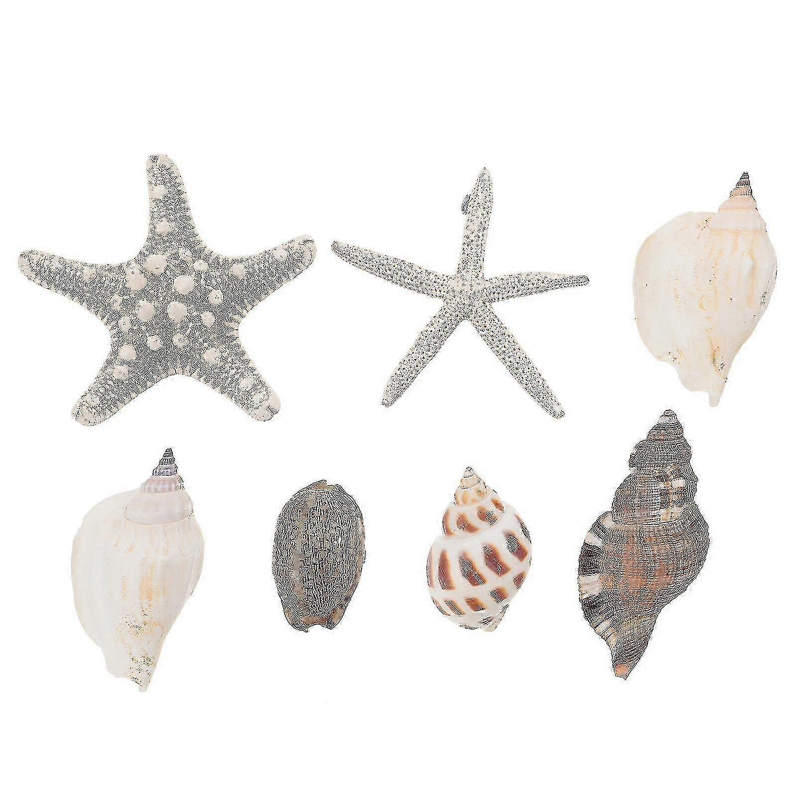 7pcs Seashell Conch Shape Magnetic Fridge Stickers - Random Styles for XXF