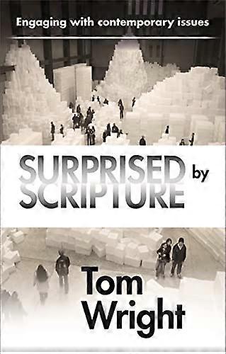 Surprised by Scripture: Engaging with contemporary issues