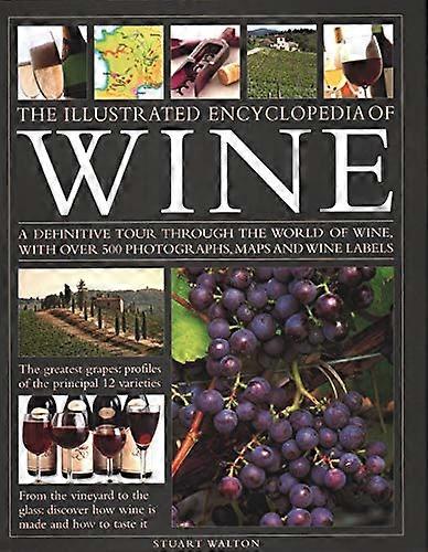 Ny illustreret guide til vin