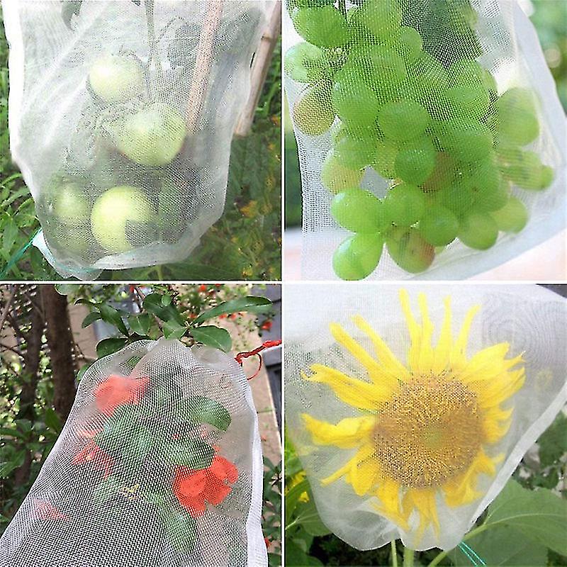 100pcs Bunch Protection Bag 23x17cm Grape Fruit Organza Bag With Drawstring Gives
