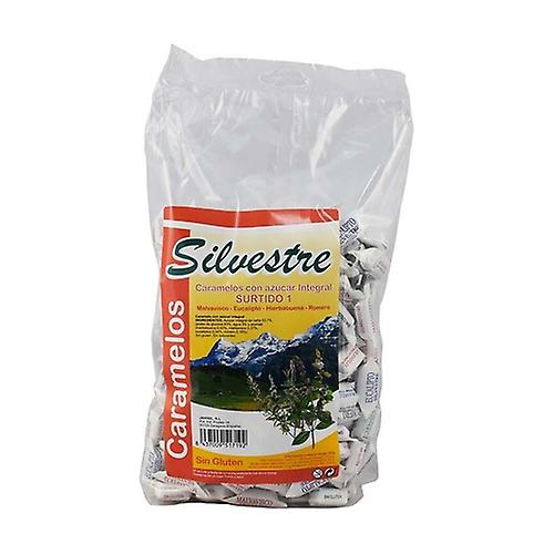 Assortment 1 candies Int. 1 kg
