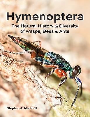 Hymenoptera