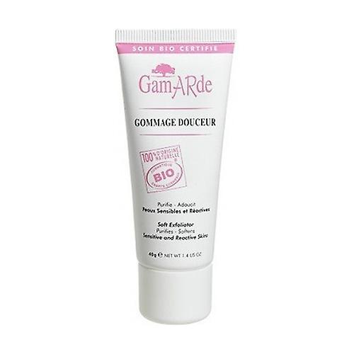 Bio Facial Scrub 40 g of cream