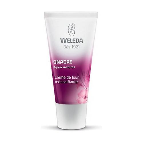 Evening Primrose Redensifying Day Cream 30 ml of cream