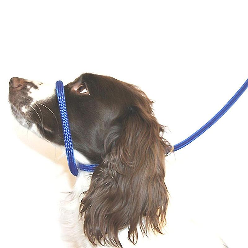 Figure 8 Anti-pull Leash/Harness/Head Collar Super Soft Braided Nylon Blue