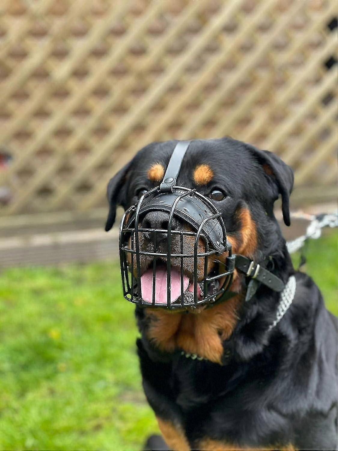 FORTE filo metallico museruola Basket cane museruola Rottweiler, mastino Golden Retriever e altro (R1, pelle nera / nera)