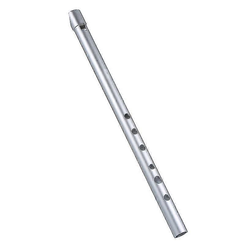 Traditional Irish Whistle - 6-Hole Tin Penny Flute for Beginners, Intermediates & Experts - Key of C (New Arrival)