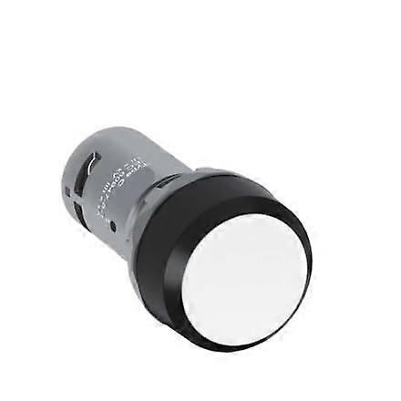 Compact Push Button Switch CP110W10 5V with Quick Response for Industrial Control Use