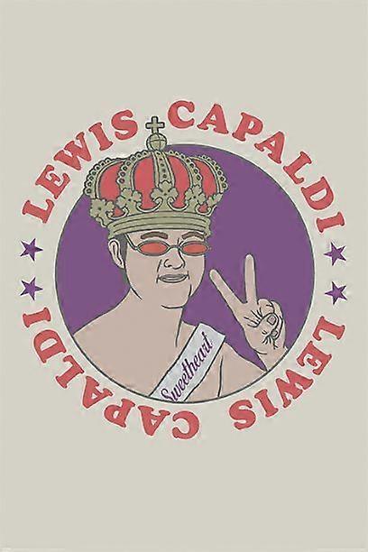 LEWIS CAPALDI Stresslindrende puslespill G2145