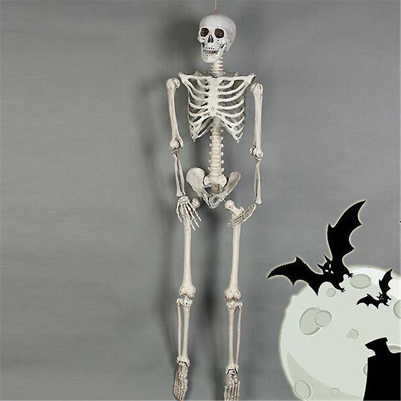Halloween Poseable Skeleton Party Prop Decor Human Anatomy Model