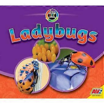 Lieveheersbeestjes (Het verkennen van levenscycli)