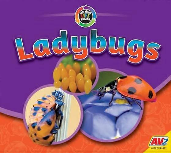 Ladybugs (Exploring Life Cycles)
