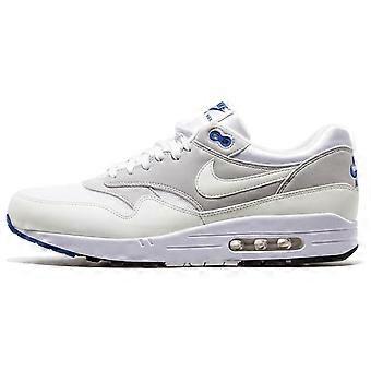 Nike Air Max 1 Color Change White Varsity Royal 811373-100