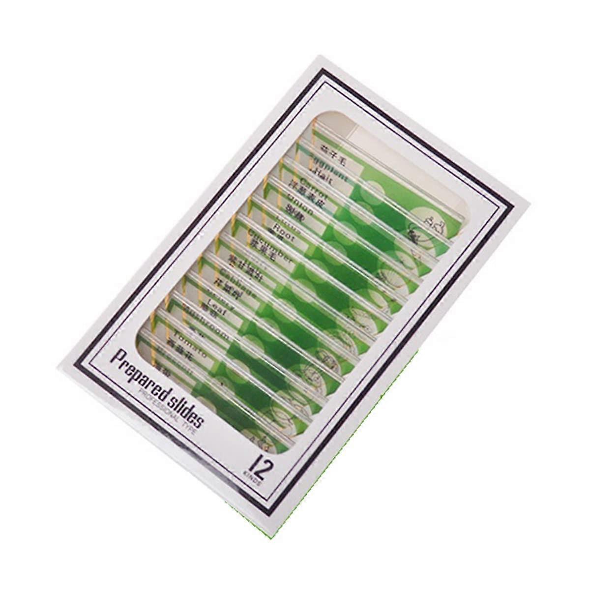 Prepared Plastic Microscope Slides Set Green Biological Microscope Accessories for Easy Identification