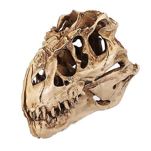 Individuality Unique Resin Dinosaurs Skull Model for Indoor