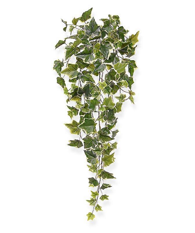 Ivy hangingplant (65 cm)
