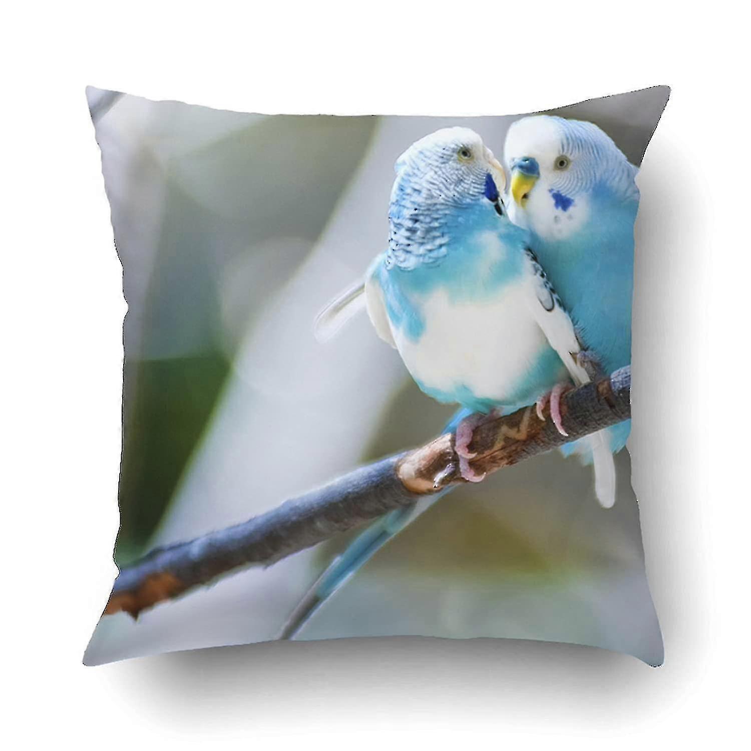 Two Parakeets Perched In A Tree Case Cush Cover 45x45 Cm
