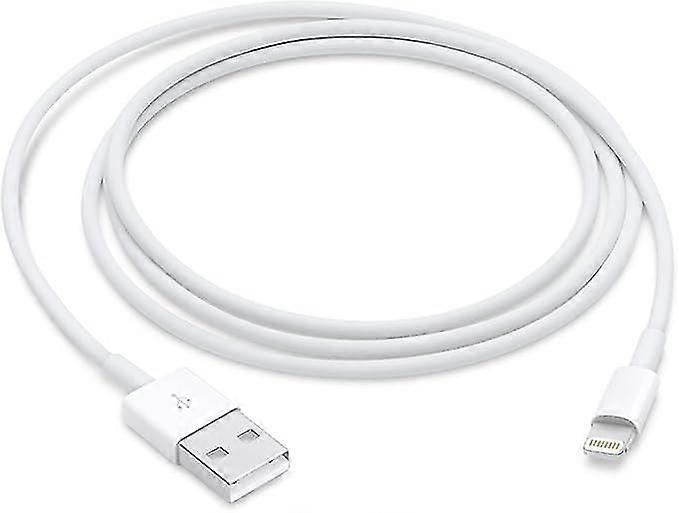 Apple Lightning To Usb Cable (1m)