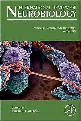 Nanotechnology and the Brain