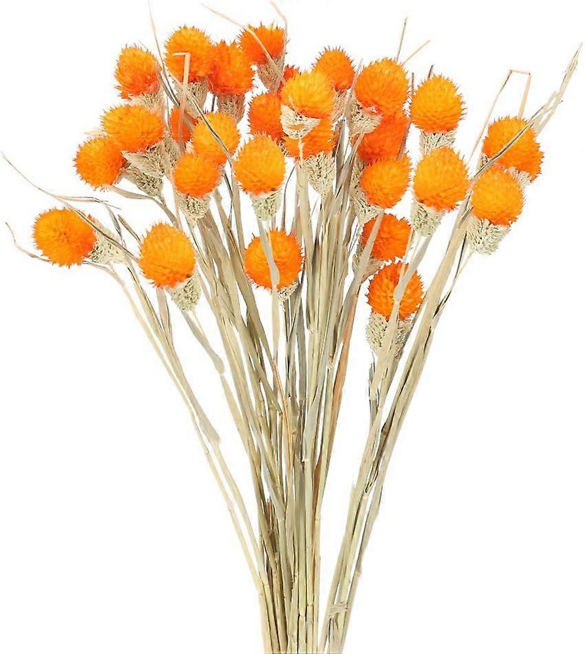 Flores secas, Craspedia, Billy Buttons, Ramo, Decoración