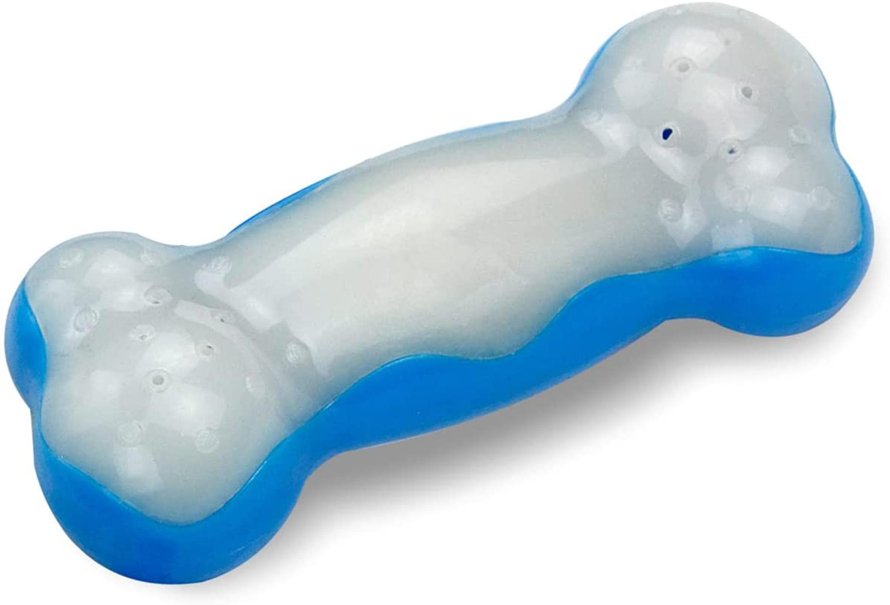All For Paws Chill Out Ice Bone Large