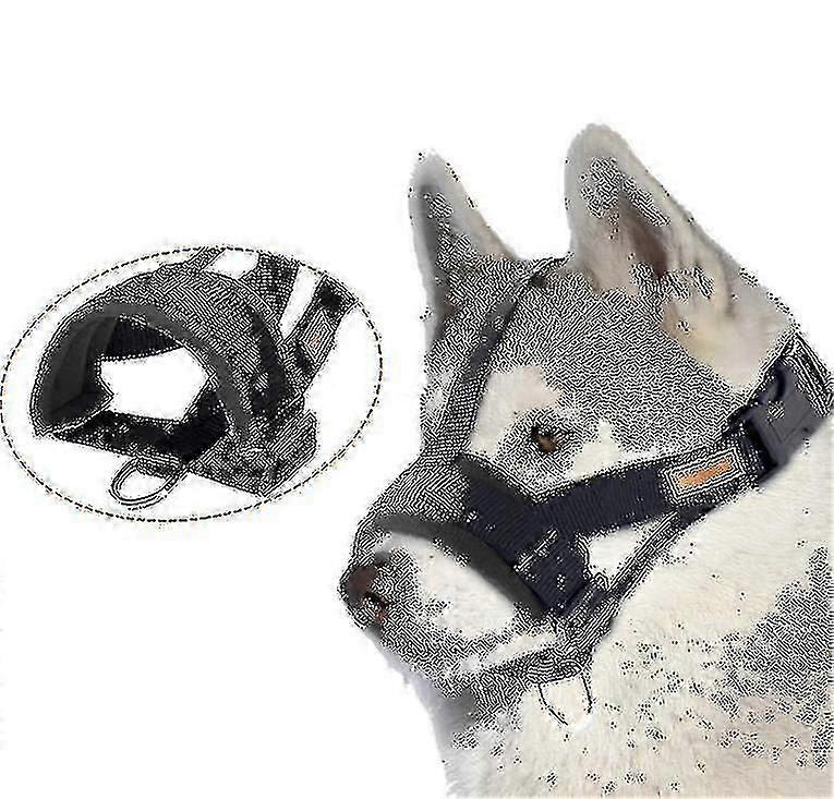 Dog Muzzleanti-biting Barking Secure, soft Mesh pustende kjæledyr snute for hunder-yujia