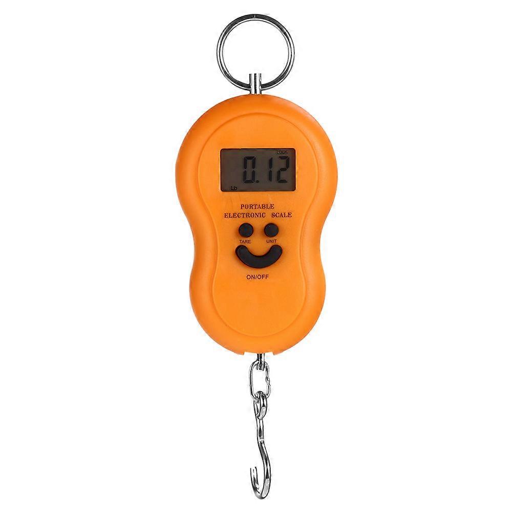 Lightweight Portable Electronic Scale with Hook, LCD Display for Kitchen, Fishing and Home Use