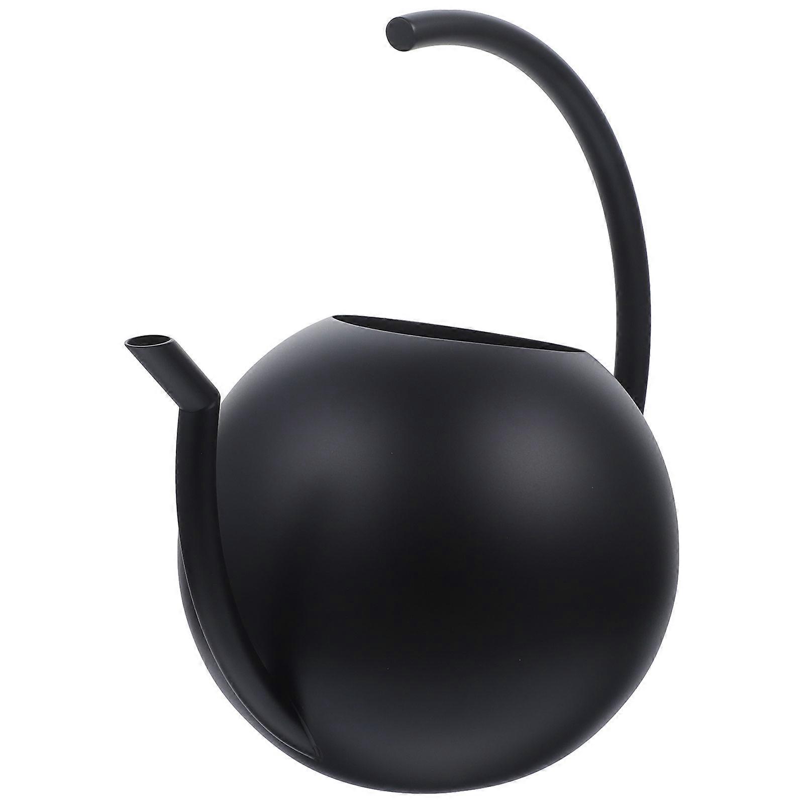 Stainless Steel Watering Pot with Thin Spout for Indoor Houseplants and Storing 0.5L