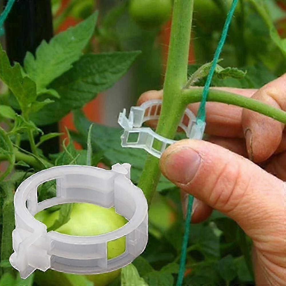 100 Pack Garden Plant Clips, For Tying Plants Twine Vine Trellis Cages Vine Vegetable Grafting Tools For Growing Healthier Straight Plants