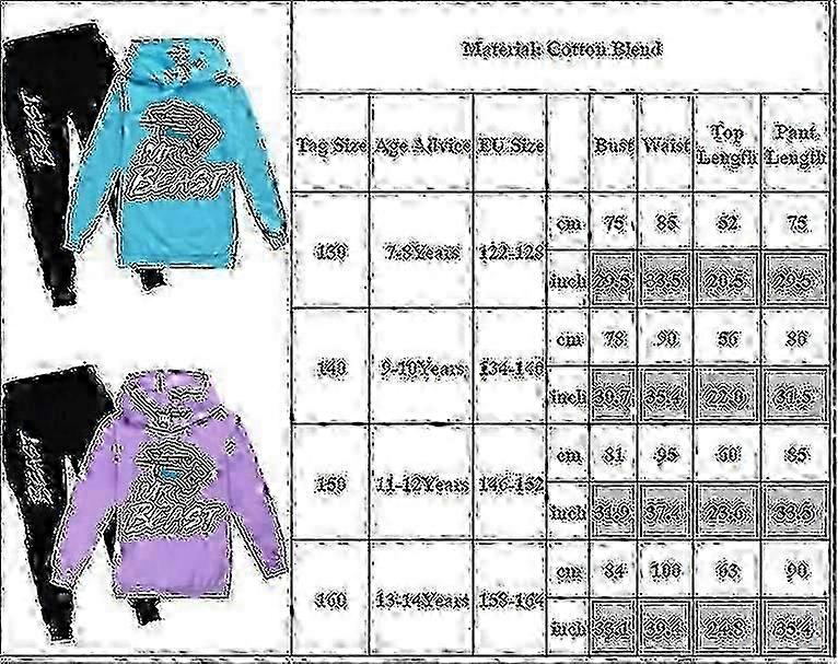 Mr Beast Lightning Cat Dzieci Chłopcy Dziewczęta Dres Pullover Bluza z kapturem Spodnie do joggingu Strój 2szt / zestaw