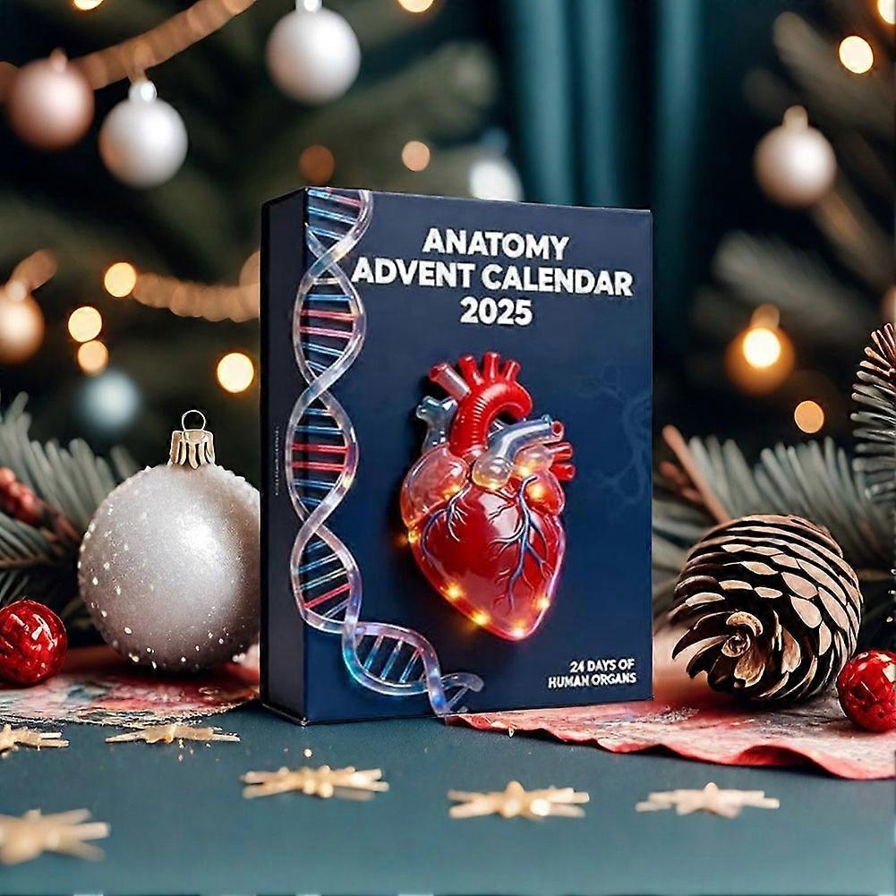 Calendrier De L'Avent Einstein Human Body Science Kit : 24 Jours D'activités Scientifiques S.T.E.M Et 20 Expériences Sur Le Corps Humain. Comprend Un Modèle Humain De 30,5 Cm Avec 16 Organes