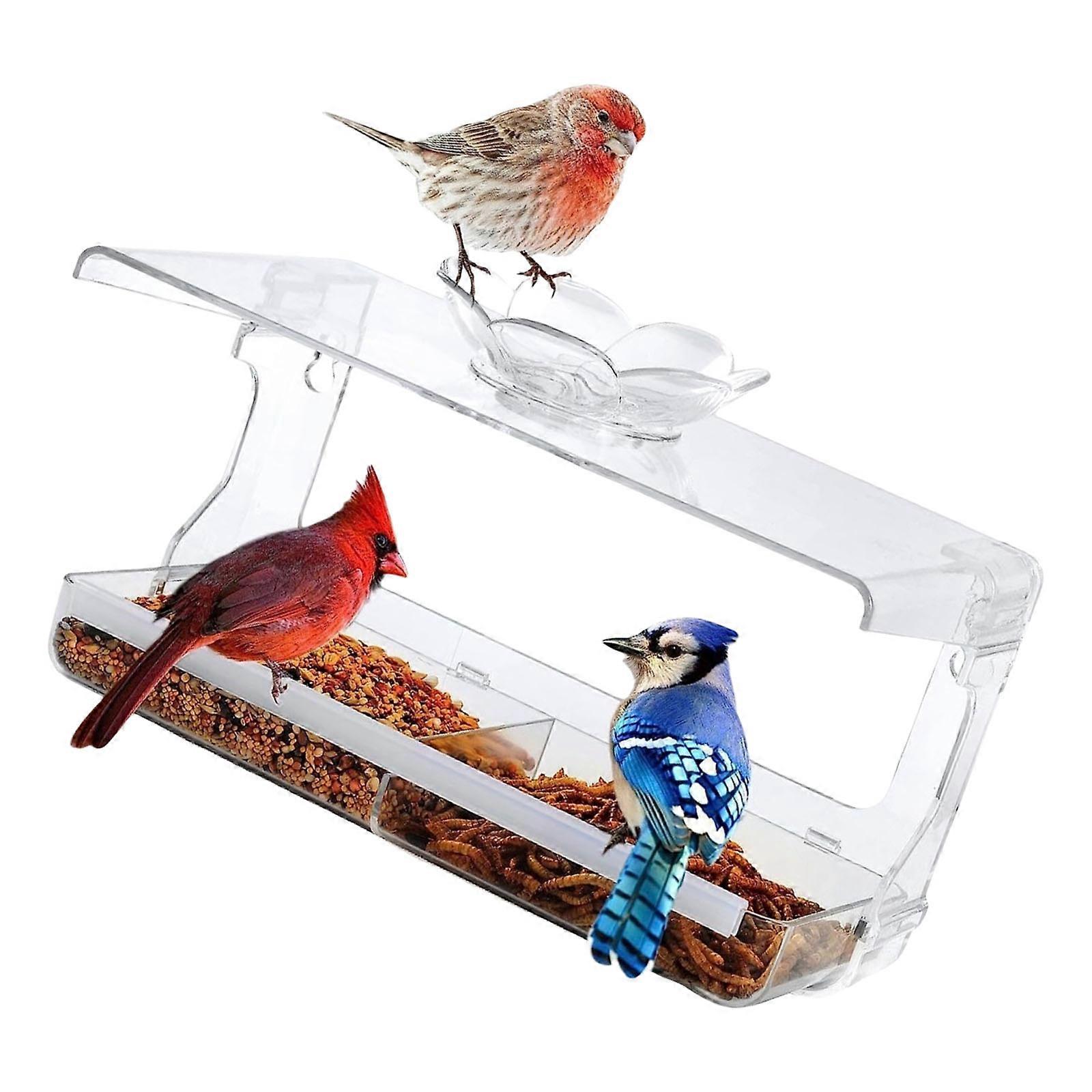 ABS Window Mounted Bird Feeder With Oversized Feeding Slot For Bird Attraction Observation Suction Cup Feeding Station Multicolor