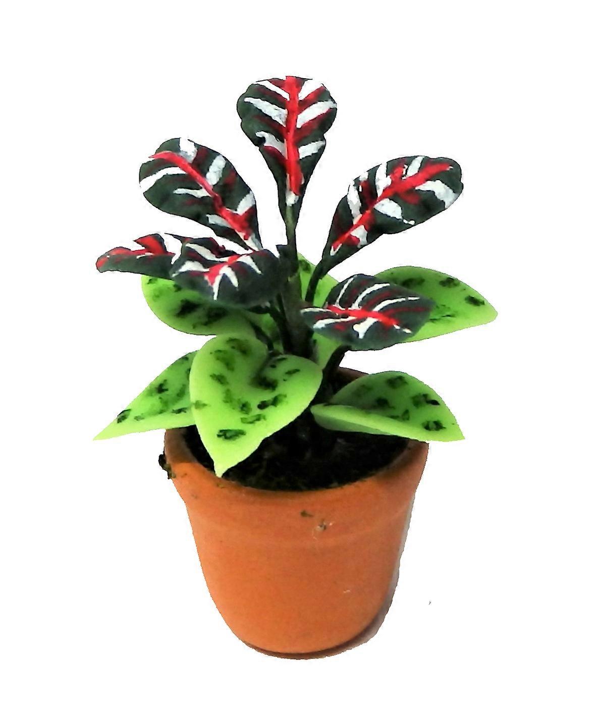 دمى منزل النبات في وعاء منزل مصغر أو حديقة ملحق نوع F