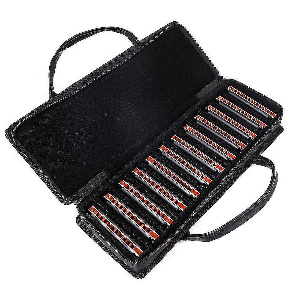 Blues Harmonica Set 12 Keys Full Range Warm Tone Durable Reeds with Protective Carry Case