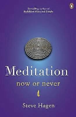 Meditation Now or Never